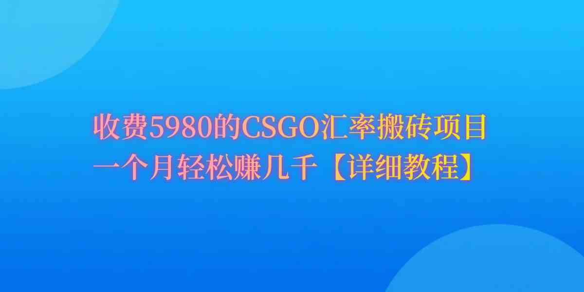 （9776期）CSGO装备搬砖，月综合收益率高达60%，你也可以！-星宇网