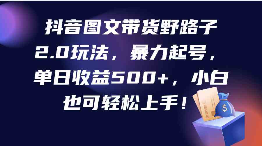 （9790期）抖音图文带货野路子2.0玩法，暴力起号，单日收益500+，小白也可轻松上手！-星宇网