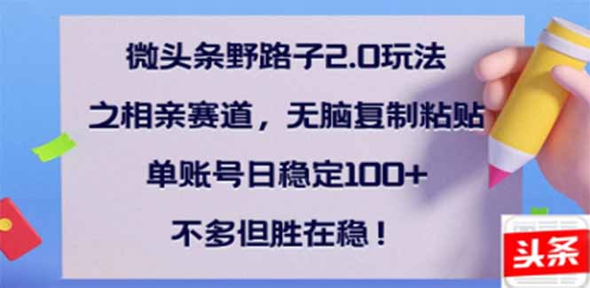 （14334期）微头条野路子2.0玩法之相亲赛道，无脑搬砖复制粘贴，单账号日稳定300+…-星宇网