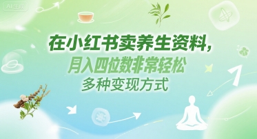 在小红书卖养生资料，月入四位数非常轻松，多种变现方式-星宇网