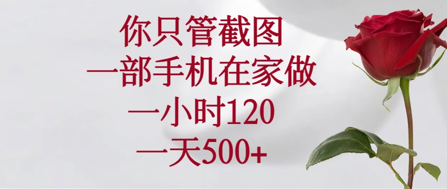（14248期）你只管截图，一部手机在家做，一小时120，一天500+-星宇网