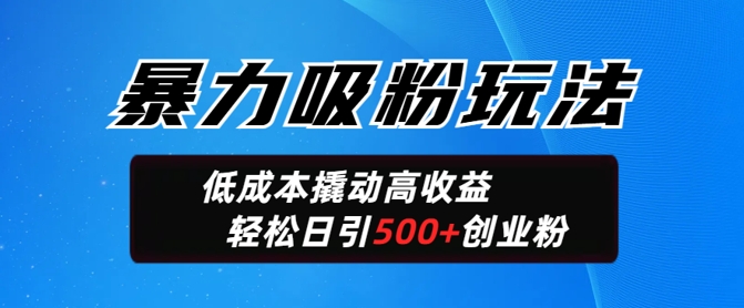暴力吸粉玩法，日引500+精准创业粉，日变现轻松多张-星宇网