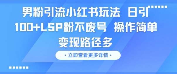 男粉引流小红书玩法，日引100+LSP粉不废号，操作简单，变现路径多-星宇网