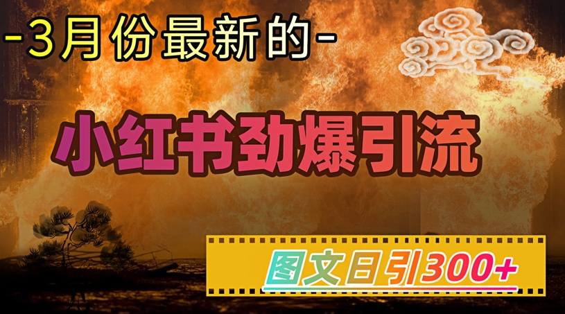 小红书超劲爆引流手段，图文日引300+轻松变现1W-星宇网