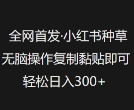 全网首发，小红书种草无脑操作，复制黏贴即可，轻松日入3张-星宇网