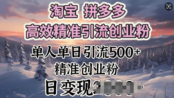 淘宝拼多多高效精准引流创业粉，单人单日引流500+创业粉，日变现多张-星宇网