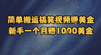 简单搬运搞笑视频挣美金，新手一个月入1k美金-星宇网