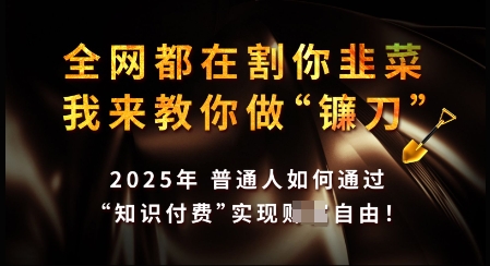 知识付费如何做到月入过W+，2025我来教你做“镰刀”【揭秘】-星宇网