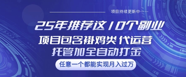 25年推荐这10个副业项目包含褂鸡类、代运营托管类、全自动打金类【揭秘】-星宇网