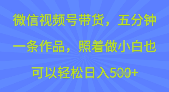 微信视频号带货，五分钟一条作品，照着做小白也可以轻松日入5张-星宇网