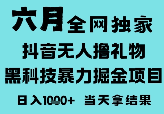 25年6月高爆抖音无人直播最新撸音浪掘金项目，门槛低小白可做，无脑日入1k，可矩阵放大【揭秘】-星宇网
