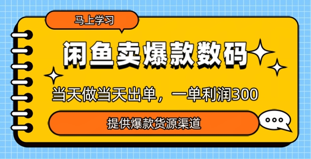 闲鱼卖爆款货源，当天做当天出单，一单利润3张-星宇网