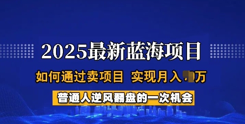 2025蓝海项目，普通人如何通过卖项目，实现月入过W，全过程【揭秘】-星宇网