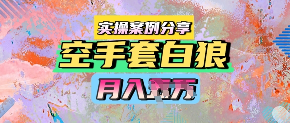 空手套白狼，月入过1W，实操案例分享-星宇网