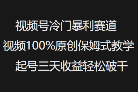 视频号冷门暴利赛道视频100%原创保姆式教学起号三天收益轻松破千-星宇网