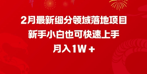 2月最新细分领域落地项目，新手小白也可快速上手，月入1W-星宇网