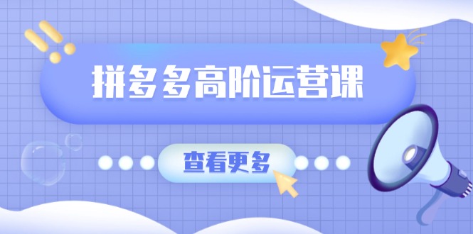 （14327期）拼多多高阶运营课：极致群爆款玩法，轻付费无尽复制，打造单品爆款之路-星宇网