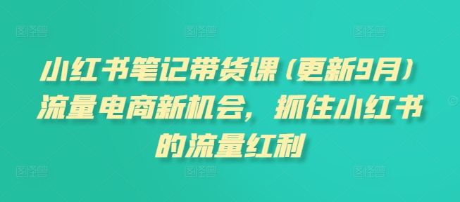 小红书笔记带货课(更新25年6月)流量电商新机会，抓住小红书的流量红利-星宇网