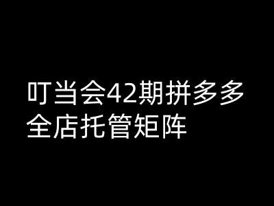 叮当会拼多多打爆班原创高阶技术第42期，拼多多全店托管矩阵-星宇网